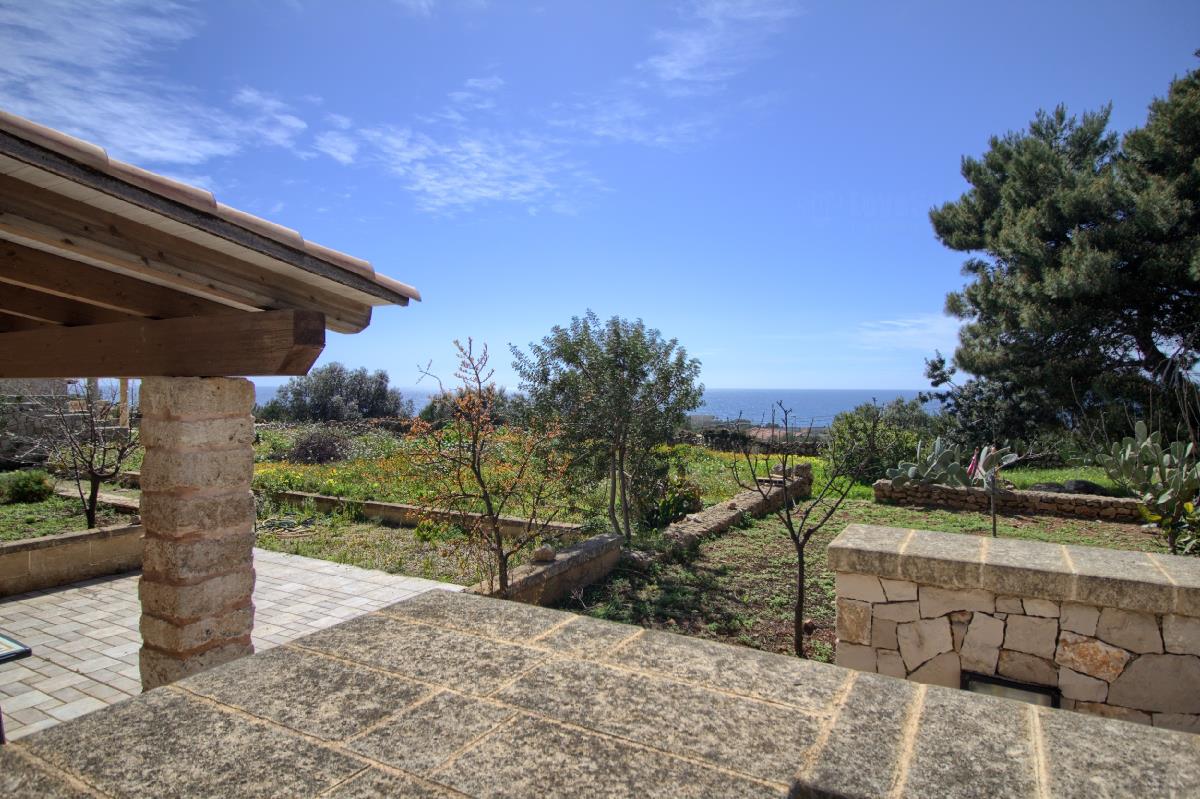 Il Cedro San Gregorio