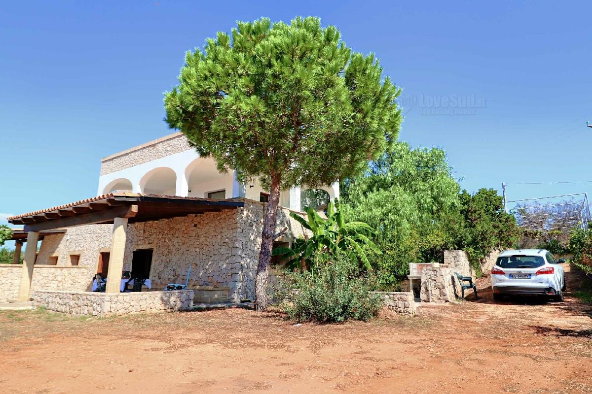 Il Pino San Gregorio