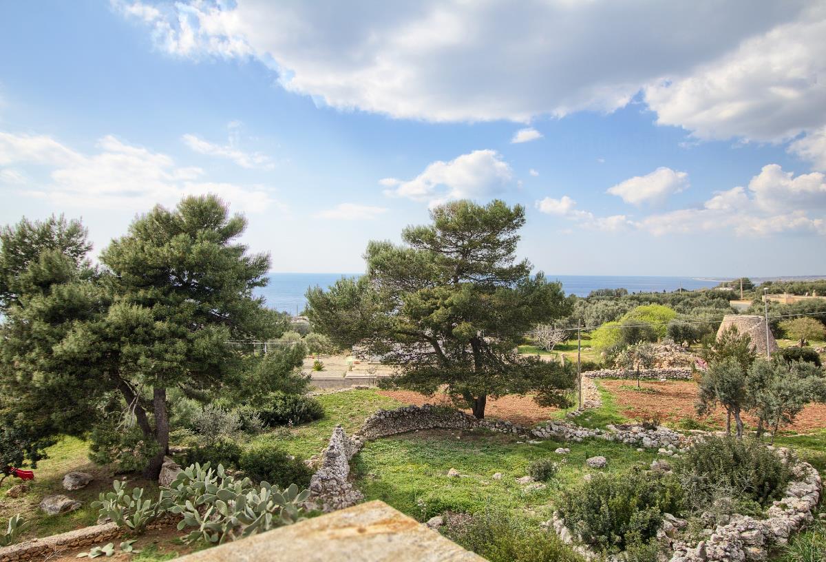 Il Pino San Gregorio