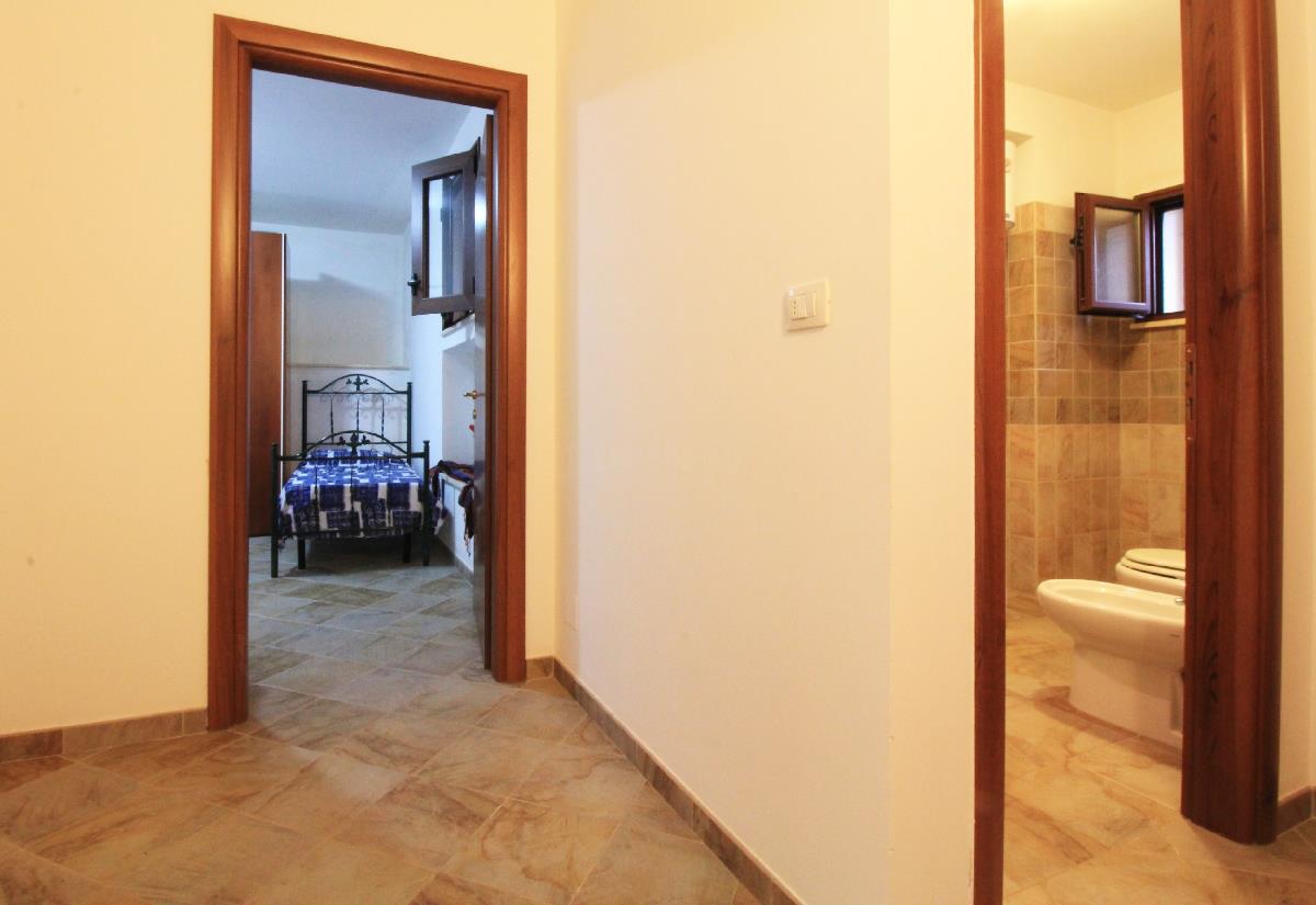 Il Pino San Gregorio