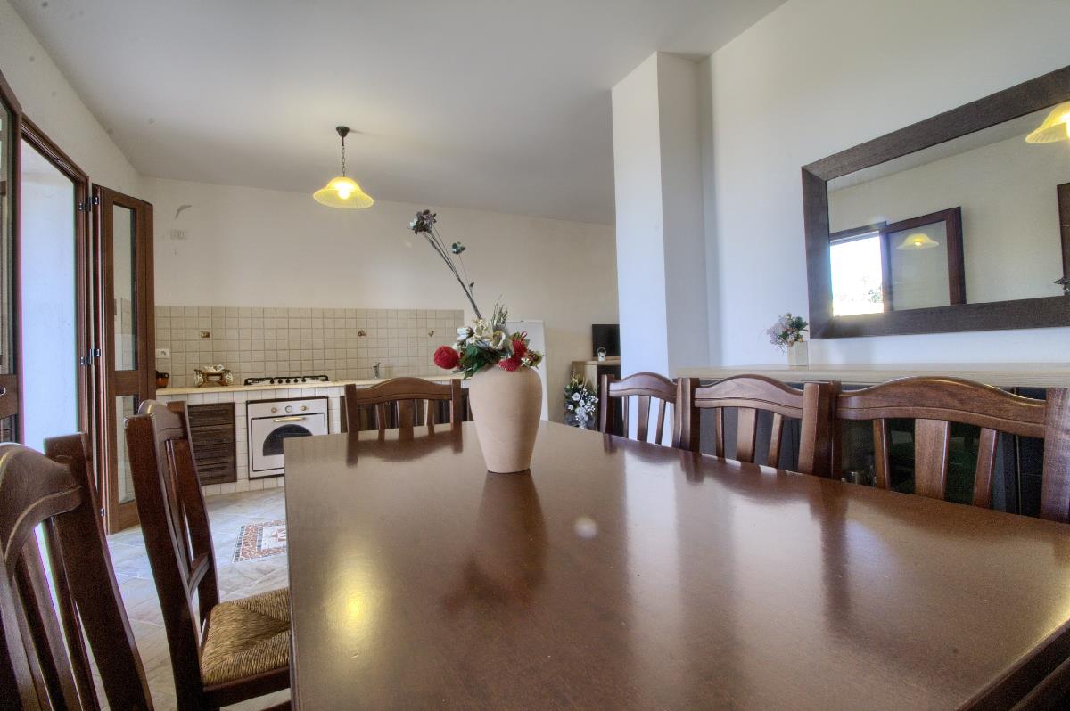 Il Pino San Gregorio