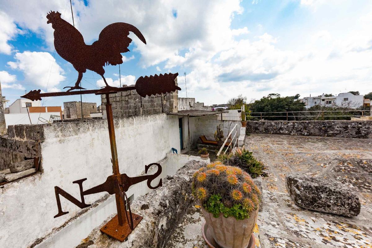 Piccolo Gioiellino Ortelle