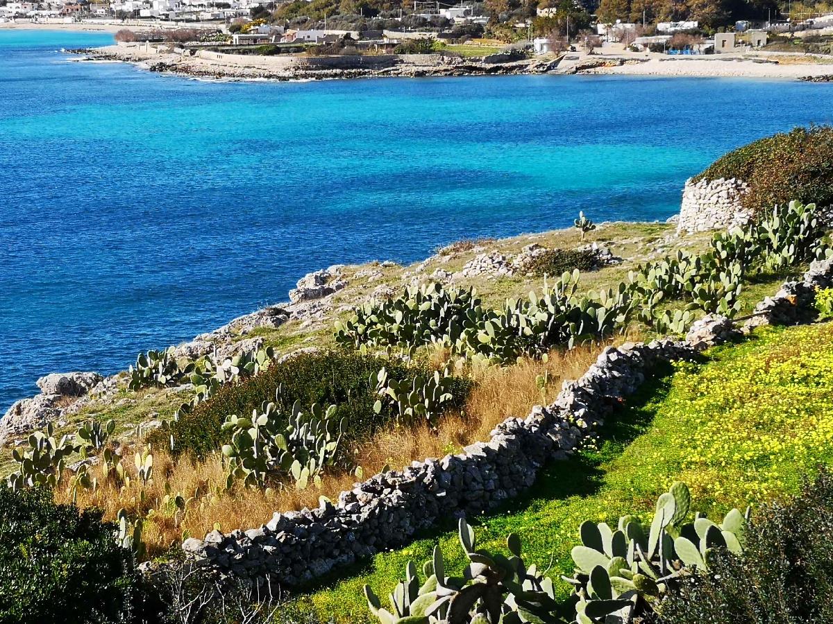 Villa sul Mare con Pineta