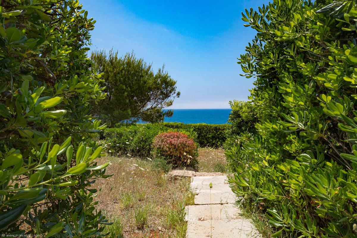 Villa sul Mare con Pineta