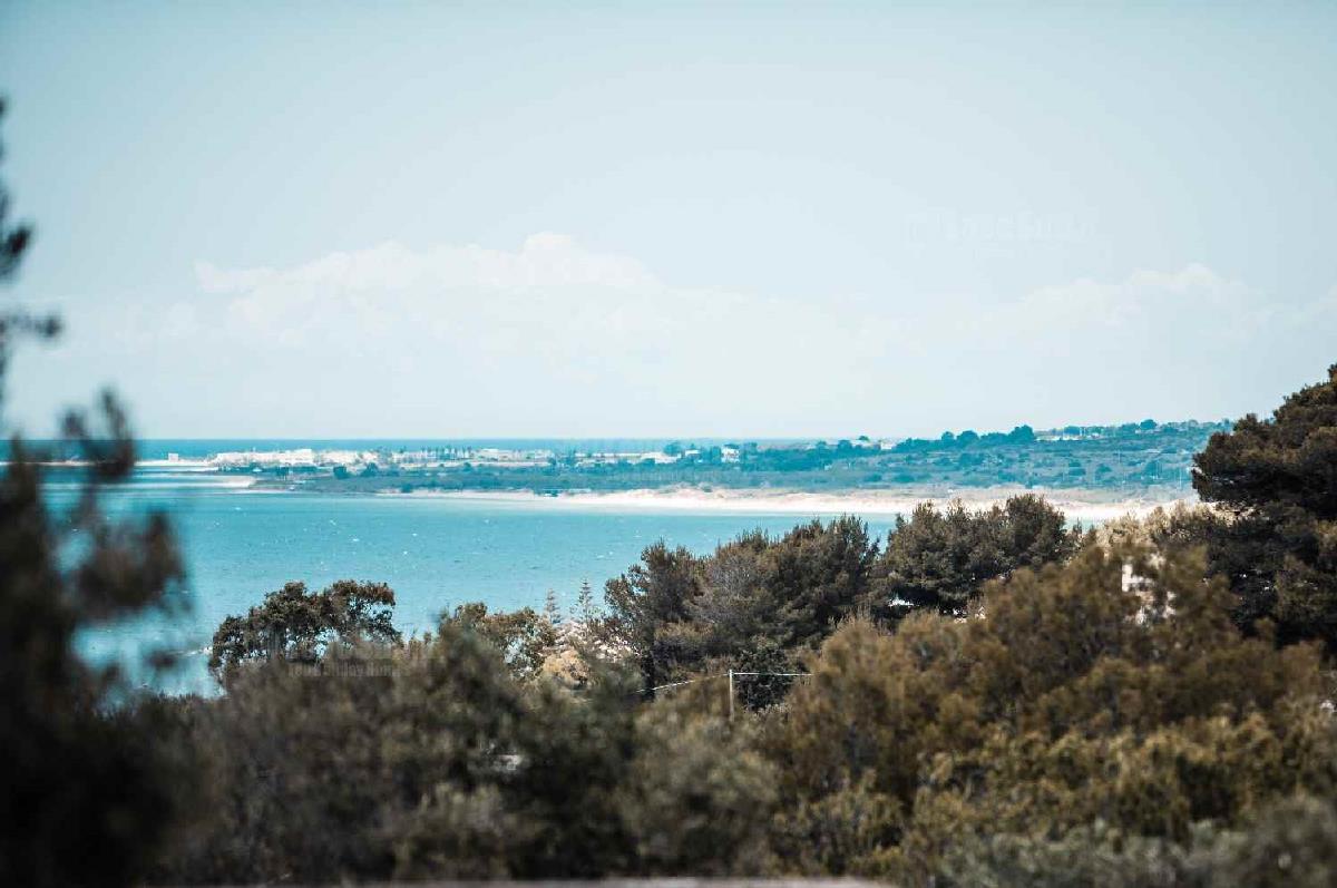 Exclusive Loft Controvento