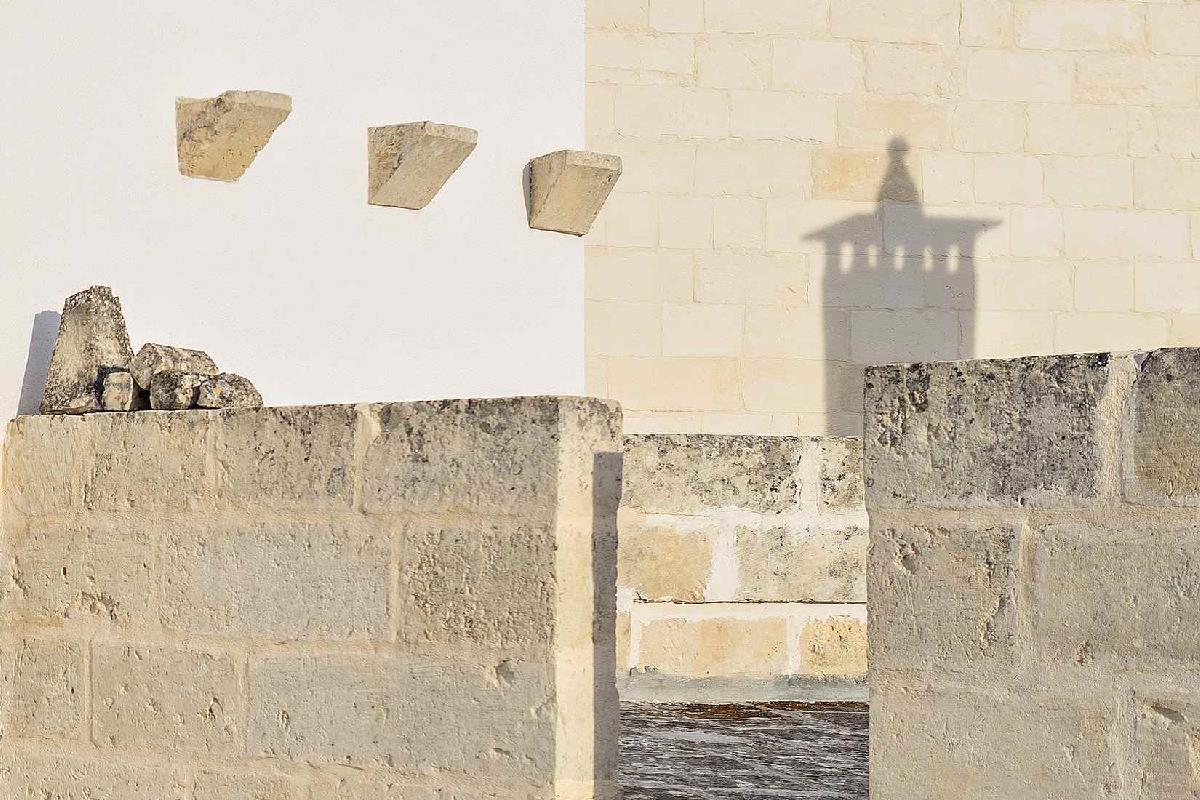 Angelica – Luxury Distilia