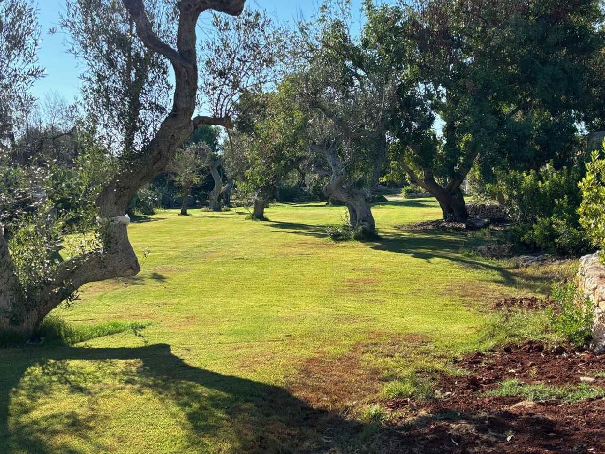 La Punta Tenuta Le Farcole