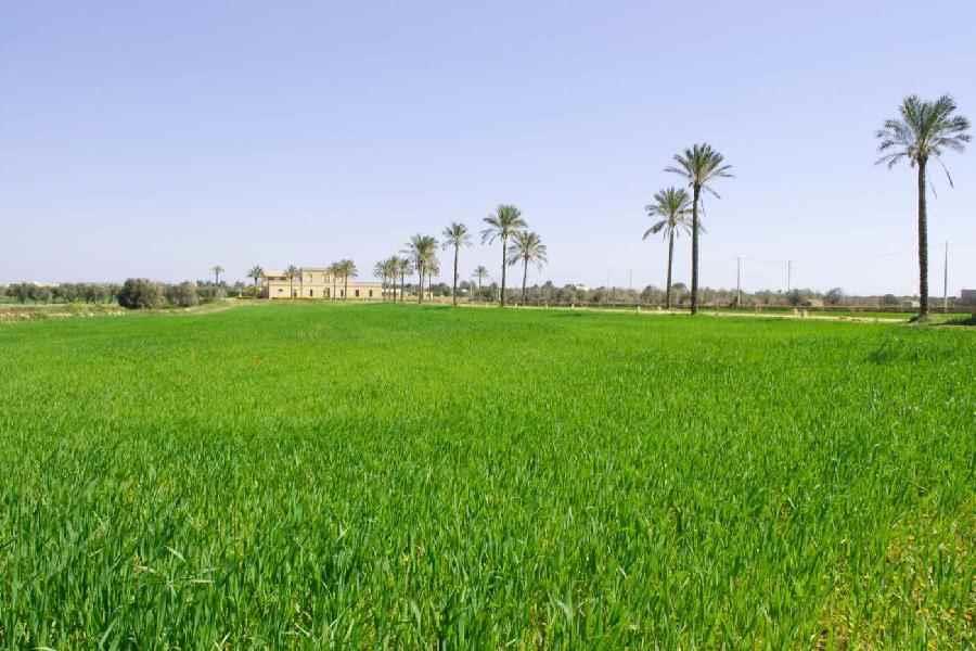 Masseria Galatea – camera familiare