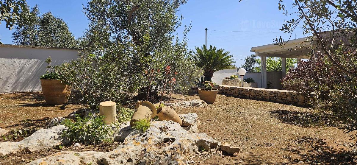 Casa Maria Foresta Forte