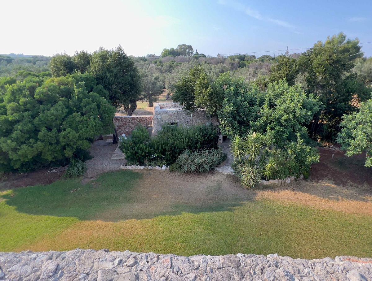 Carrubo – Tenuta Le Farcole