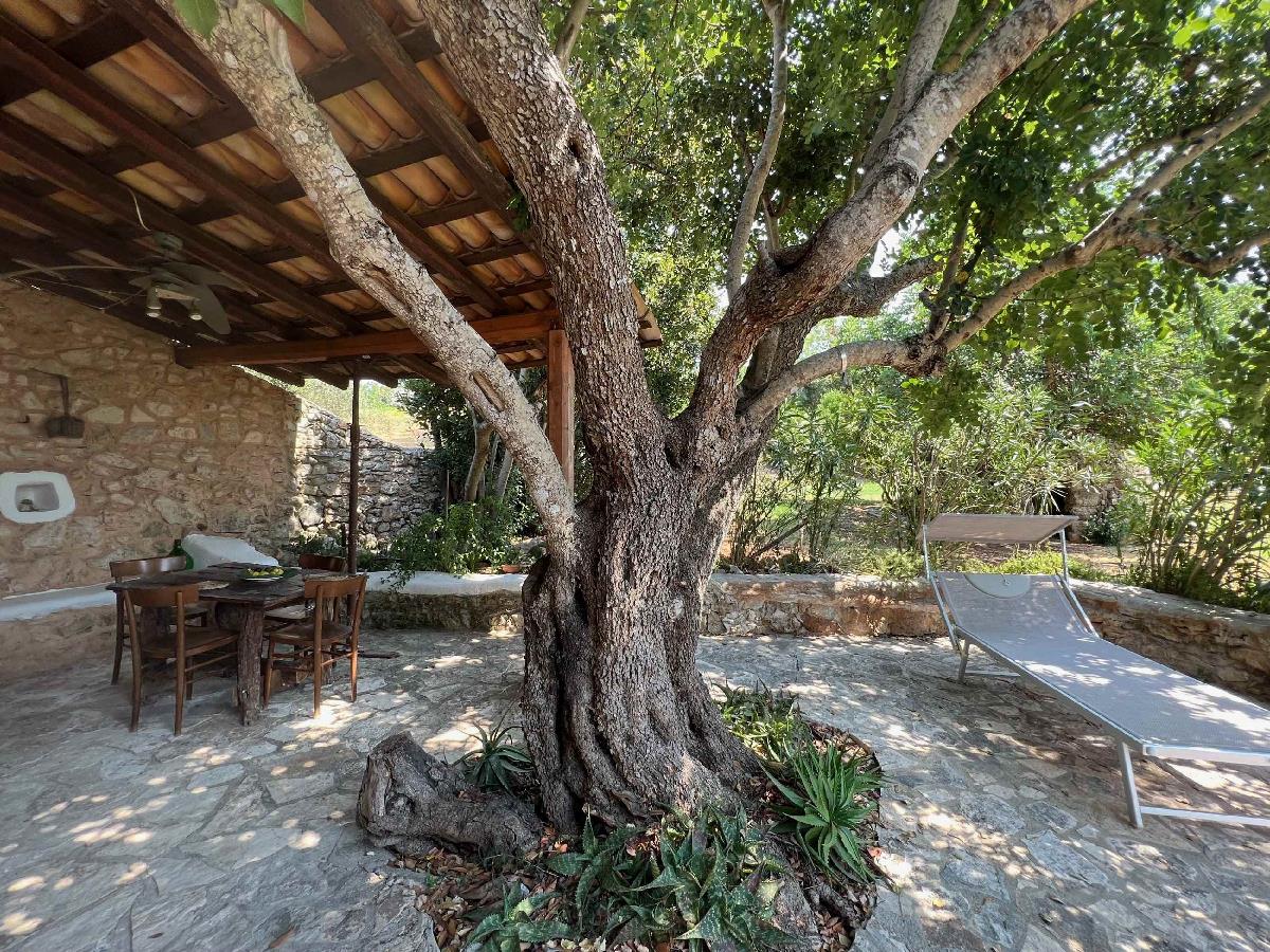 Carrubo – Tenuta Le Farcole