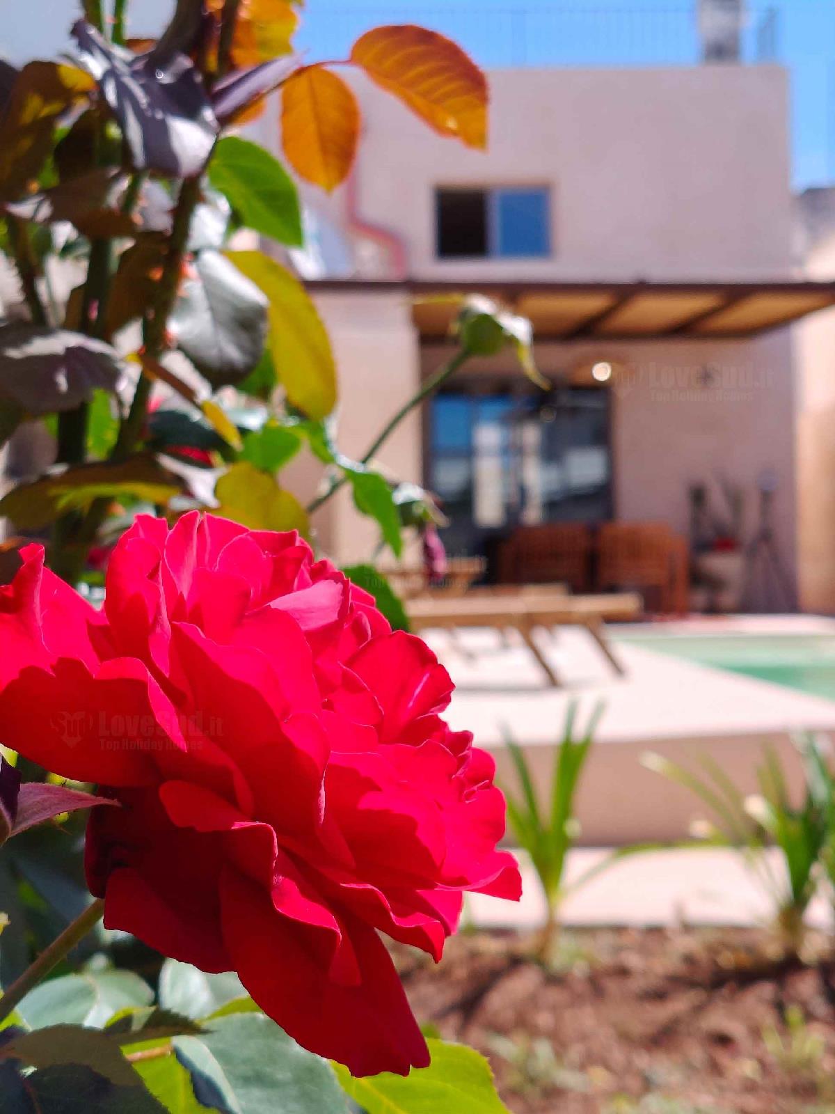 Riad del Capo