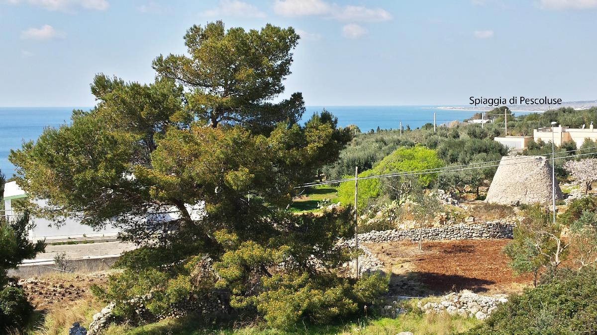 Il Corbezzolo San Gregorio