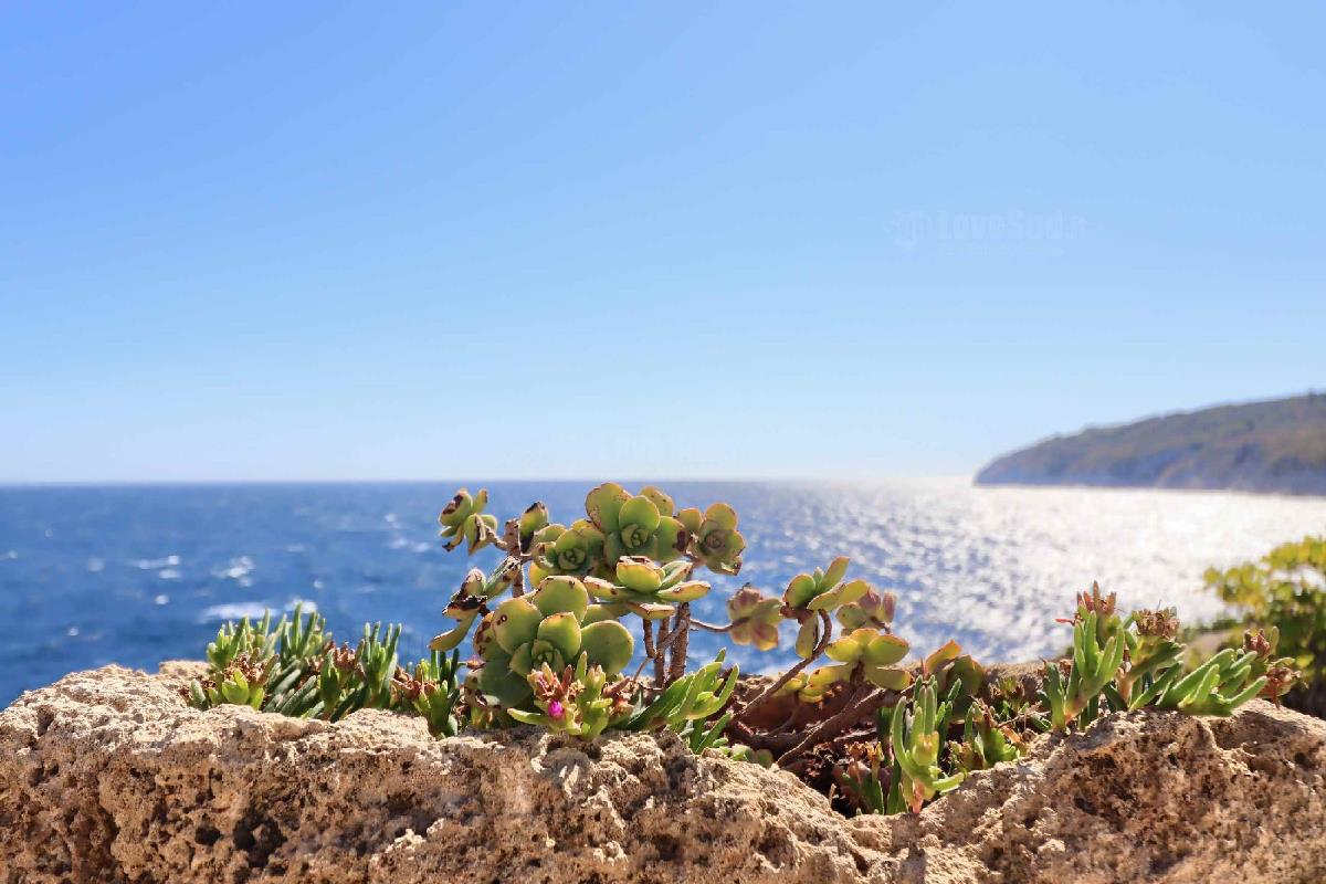 Dimora degli Artisti