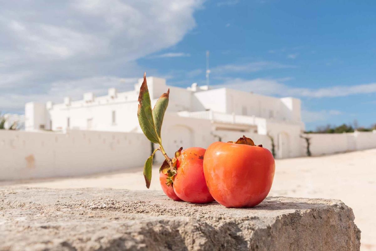 Suite La Stalla Masseria Scaledda